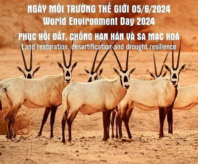 Nguồn gốc, ý nghĩa của “Ngày Môi trường Thế giới” và chủ đề Ngày Môi trường Thế giới 2024