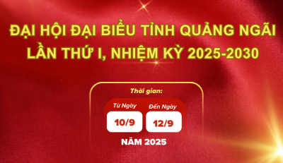 BANER TIN   Copy