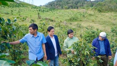 Trường Cao đẳng Kon Tum kiểm tra, tiếp tục hỗ trợ duy trì mô hình ứng dụng khoa học kỹ thuật trồng...