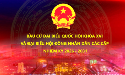 Các mốc thời gian BẦU CỬ ĐBQH khóa XVI, đại biểu HĐND các cấp nhiệm kỳ 2026-2031