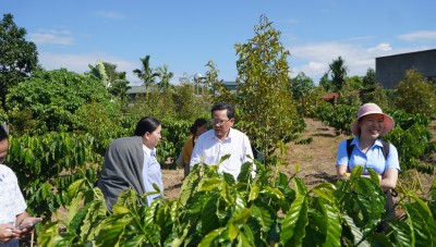Xây dựng mô hình “Dân vận khéo” gắn với vận động đồng bào dân tộc thiểu số thoát nghèo bền vững tại xã Sa Thầy